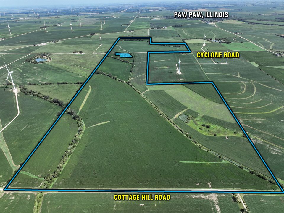 Listing Photo: Lee County Farmland For Sale